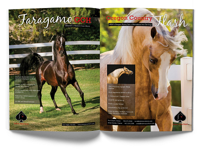 Stolen Aces Farm Magazine Ad #1