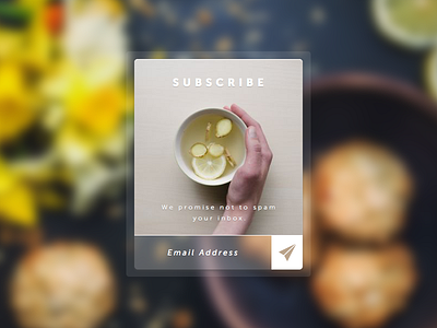 Subscribe clean dailyui elegant newsletter sketch subscribe ui