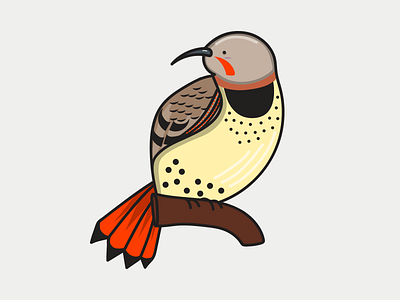 Northern Flicker bird birds illustration nature sticker