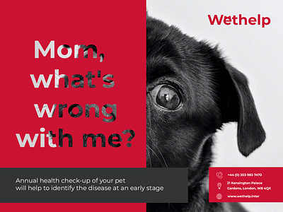Animal clinic advertisement advertisement animal clinic dog graphic design help treatment wet