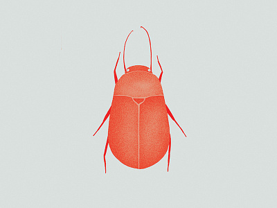 30/350000 beetles bugs digital illustration illustration insects photoshop poster print