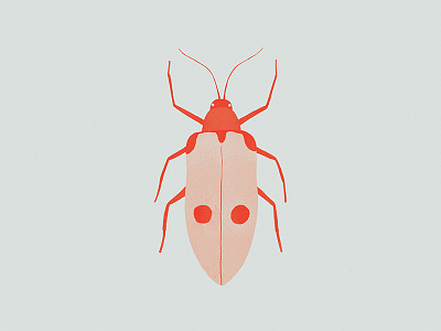 30/350000 beetles bugs digital illustration illustration insects photoshop poster print