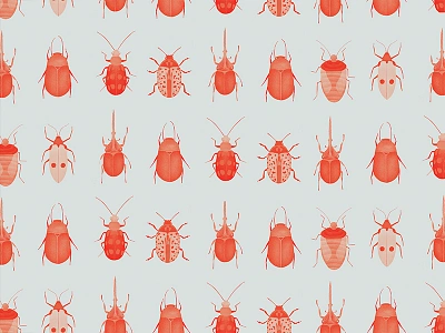 30/350000 beetles bugs digital illustration illustration insects photoshop poster print