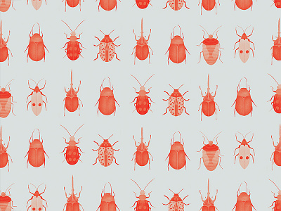 30/350000 beetles bugs digital illustration illustration insects photoshop poster print