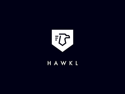 Branding - Team HawkL