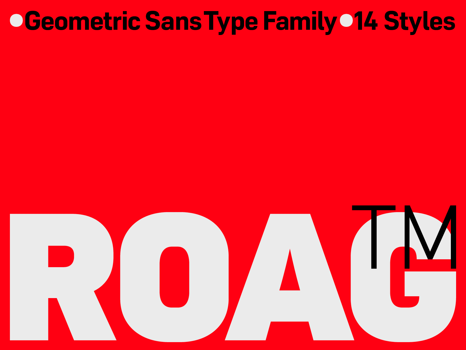 Roag - Type Family identity
