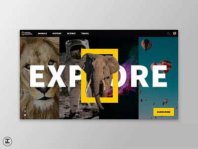 National Geographic Splash Concept after effects animals animation design design inspiration motion design nat geo national geographic nature photoshop science sketch travel ui ui inspiration uitrends ux uxtrends web interface webdesign