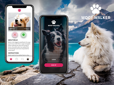WOOF WALKER! app corgi design dog dogs dogwalking idwalkthiscorgiforfree illustrator iphone iphonex match matchmaking mobile screen social ui ux walking