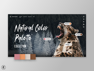 Natural Color Palette Collection