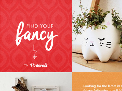 Fancy Feast Email Newsletter bright cats email fancy girly patterns pinterest