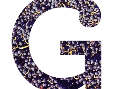 Paleo Effect | Grapes Promo design photo typography web
