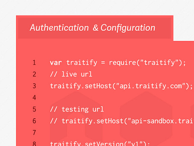 Developer Terminal Inspiration traitify