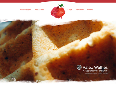 Concept Paleo Effect V2 paleoeffect web design