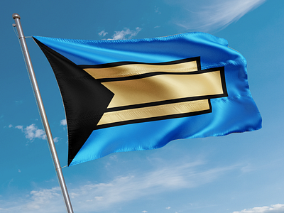 Tulsa Flag entry