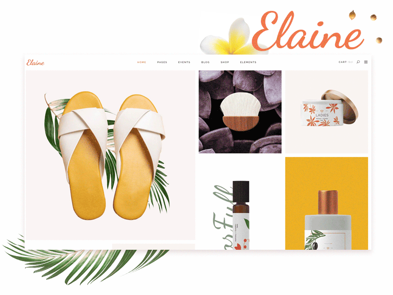 Elaine Shop 🌼 animation design typography ui web website