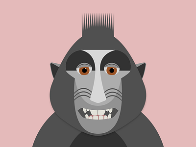 Animal selfie | monkey illustration