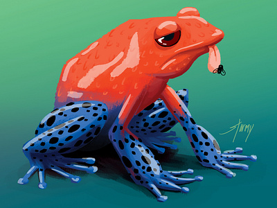 Poisonous Frog amphibian digital art frog illustration photoshop poisonous wacom intuos