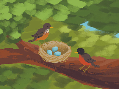 American Robins' Nest bird digital art eggs illustration nest photoshop robin tree wacom intuos