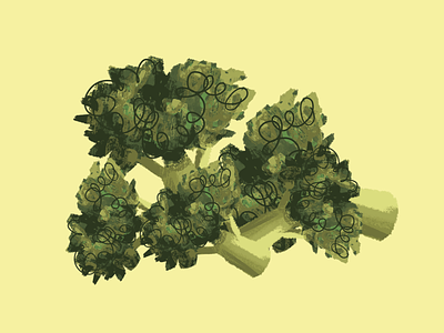 Healthy broccoli digital art food illustration photoshop vegan vegetables veggies wacom intuos