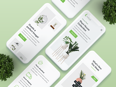 Plant Decor - mobile responsive design