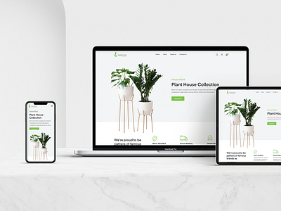 Plant decor website - web, ipad, mobile view