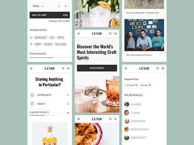 Lexir — mobile adaptation of online store
