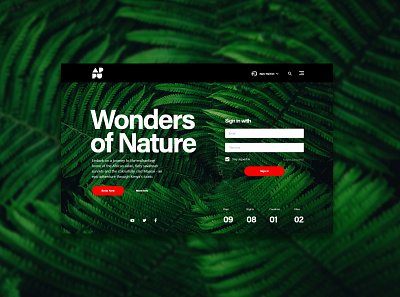 natur 01 design ui ux web