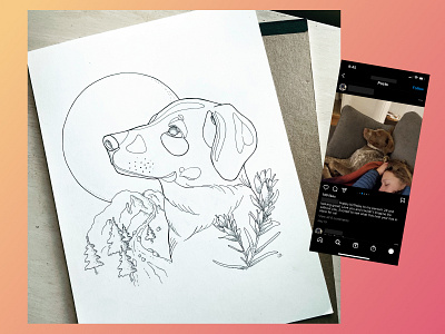 Pen and ink Doggo drawing illustration pen and ink pet illustration