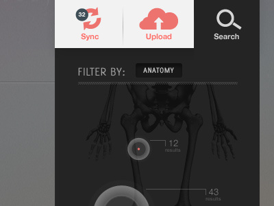 Anatomy filter grey search search results