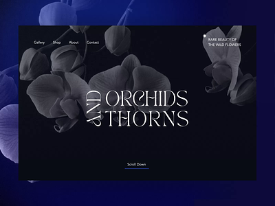 Orchids and Thorns 3d animation branding design flowers graphic design logo minimalism motion graphics nature product studio the glyph ui ux website white