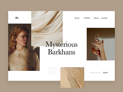 Barkhans. Portfolio Concept