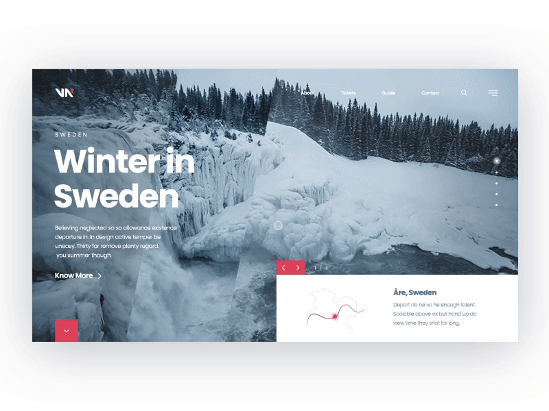 Scandinavian winter