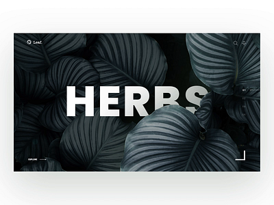 Plants Store blog branding e commerce flowers herbs interior logo minimalism plants product simple store studio the glyph typography ui ux web design website white