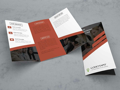 Tri-fold Brochure design bi fold bi fold brochure brochure brochure design brochure mockup creative design flat graphic minimal tri fold brochure