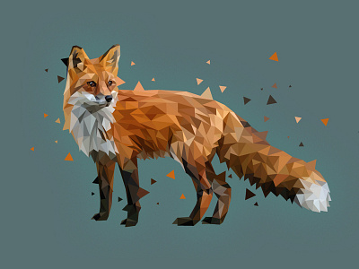 Fox animal fox illustration low poly lowpoly nature vector wildlife
