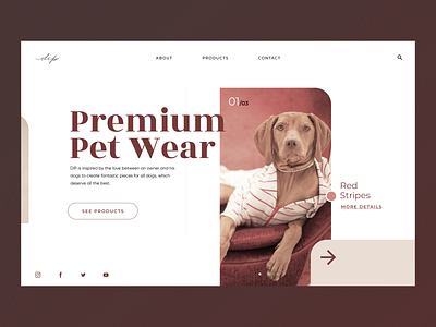 Dip | Premium pet wear clothes homepage ui wear website