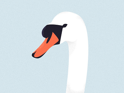 Swan animal character design flat design illustration illustrator swan