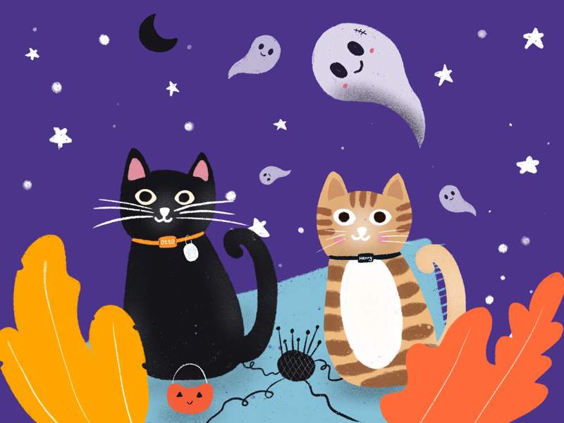Cats Halloween 👻 halloween cats procreate illustration