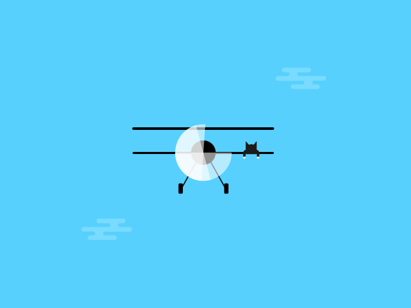 Remove cat before flight after effects animal animation cat flat flight minimal minimalistic plane propellor