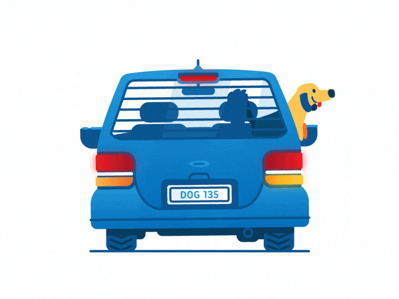 Oh Boy! 2d animation car dog illustration loop motion zoomies