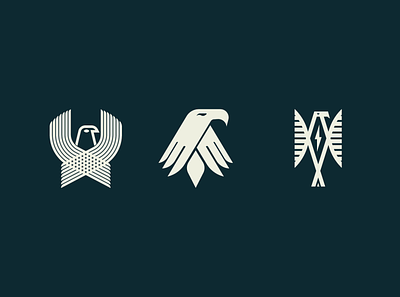 The Eagles Brigade america animals artwork birds branding brave concept design eagles graphic design icon illustration logo ui wilderness wildlife