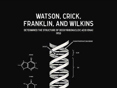 STEM Heroes 2021 | Watson, Crick, Franklin, and Wilkins