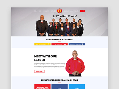 PNM Website political party ui ui design ux ux design web design