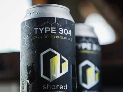 Shared Type 304 Can beer branding craft beer geometric label photography