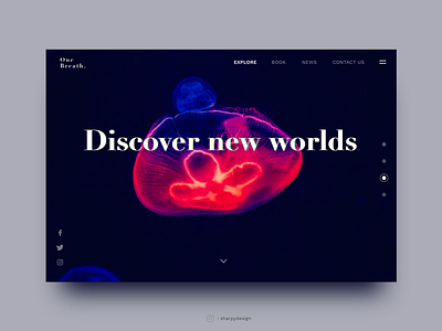 Discover new worlds appui designapp uidesign uipractice web webdesign
