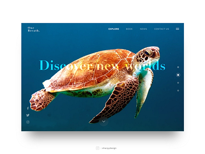 Discover new worlds design designapp uid uidesign ux design web webdesing