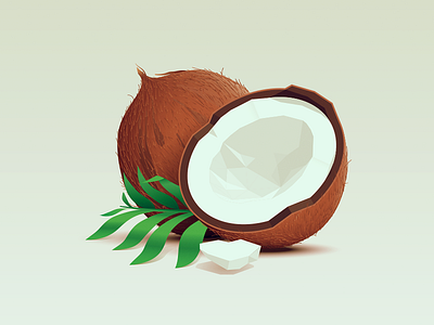 Coconut coconut food leaf palm tropical