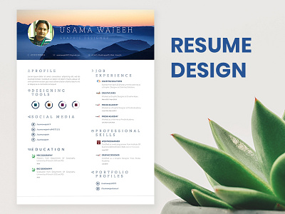 Resume Design design digital art illustration illustrator modern resume resume cv resume design