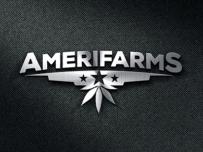 Amerifarms Branding amerifarms branding cannabis cliffs identity logo logomark marijuana star stars