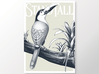 Stand Tall Poster bird design duotone graphic illustration lettering plants poster poster art procreate rainforest stand tall toucan tropical typography